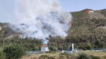 Karabük’te aynı alanda 2 orman yangını çıktı